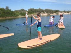SUP (Stand Up Paddle) Board Day hire HARD or SOFT BOARD (Broulee)